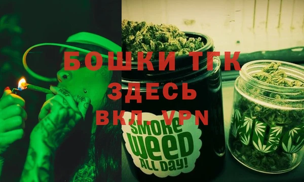 соль ск Алзамай