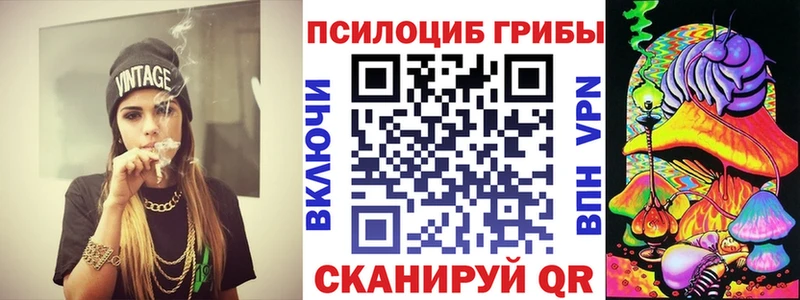 Псилоцибиновые грибы мухоморы  кракен как зайти  Ардатов 